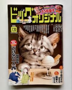 ビッグコミックオリジナル 2026年7月20日号のサムネイル