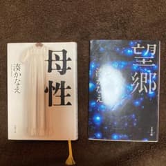 望郷　母性　文庫本2冊セットのサムネイル