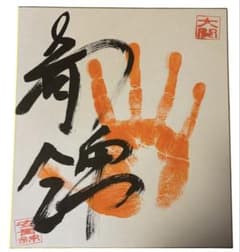 大相撲☆大関 安青錦☆肉筆サイン手形 - メルカリ