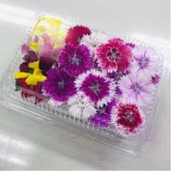 エディブルフラワー20輪のサムネイル