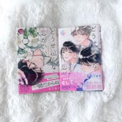 どうせ泣くなら恋がいい 10 11巻 セットのサムネイル
