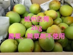 城州白梅 2kg 農薬、除草剤不使用 - メルカリ