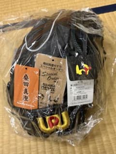ワールドペガサス　グランドデビル　グローブ　型付け済みのサムネイル
