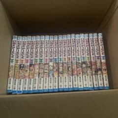 ONE PIECE 尾田栄一郎 コミックセット 80〜109巻30冊シュリンク付 ONE PIECE 尾田栄一郎 コミックセット 80〜109巻30冊シュリンク付