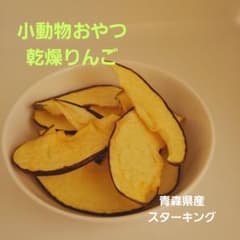 乾燥りんご 12g ＊うさぎ ＊小動物おやつにのサムネイル