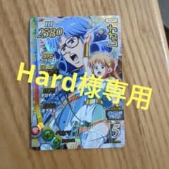【Hard様専用】ドラゴンクエストダイの大冒険【レオナ】のサムネイル
