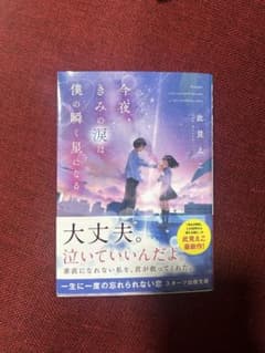 今夜、きみの涙は僕の瞬く星になる 此見えこ スターツ出版文庫のサムネイル