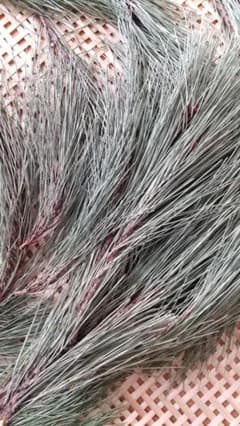☆cotton☆ 様 専用のサムネイル