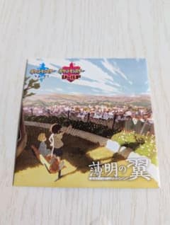 ポケモン 蒼明の翼 DVDのサムネイル