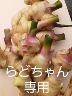 らどちゃん　専用のサムネイル