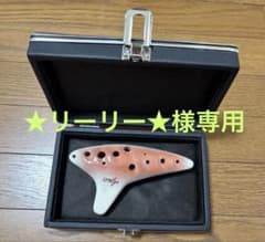 ライリッシュ オカリナ MASTER AC ハードケース付き LYRISH - メルカリ