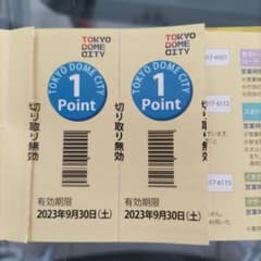 得１０チケット　２ポイント　東京ドームシティのサムネイル