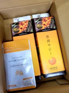 豊潤サジー1000ml×２本　らくさん菌とにゅうさん菌サプリのサムネイル