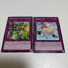 遊戯王 R.B.ネクスト・フェーズ 他 2枚セットのサムネイル