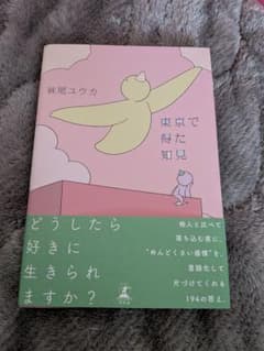 東京で得た知見　妹尾ユウカのサムネイル