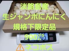 淡路島産　生ジャンボにんにく限定品　規格以下バラ900g⚠️ネコポスのサムネイル