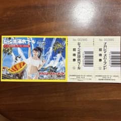 ナガシマスパーランド ジャンボ海水プール 招待券のサムネイル