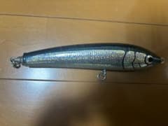 カーペンター　ブルーフィッシュ100のサムネイル