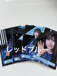 日向坂46 生写真 3回目のひな誕祭 リメイクモザイク 4種コンプ 鶴崎