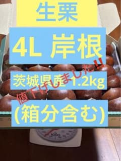 生栗 4L 岸根 茨城県産 1.2kg (箱分含む)のサムネイル