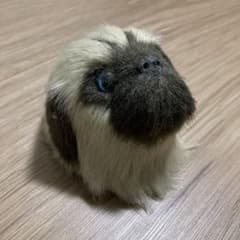 パグ型マグネット 青い目のサムネイル