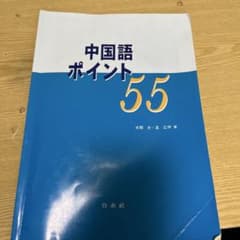 中国語ポイント55のサムネイル