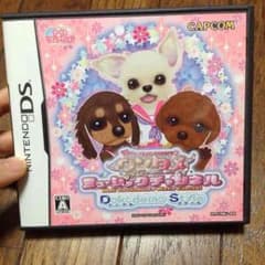 DSカセット 値下げ交渉可のサムネイル