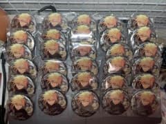 あんスタ 時光缶バッジ 天祥院英智 55点 - メルカリ