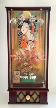 羽子板人形 ガラスケース入り 約64m 羽子板人形 ガラスケース付き - メルカリ