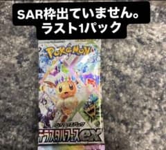 テラスタルフェスex バラパック ラスト1パック ポケモンカード - メルカリ