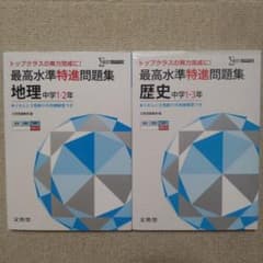最高水準特進問題集 地理・歴史 2冊セットのサムネイル
