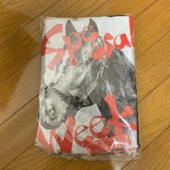 夢の第11レース スペシャルウィーク Tシャツのサムネイル