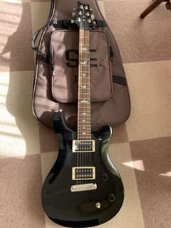 PRS (paul reed smith) se standardのサムネイル