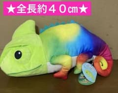 m84680121058_1.jpg?1755735073