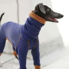 イタグレ服　ロンパース Sサイズのサムネイル