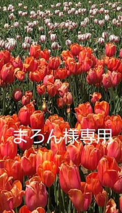 まろん様専用の商品です。のサムネイル