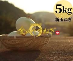 淡路島産 新玉ねぎ 5kg 高糖度たまねぎ 新玉葱のサムネイル