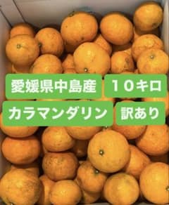 愛媛県中島産　カラマンダリン　１０キロ　訳ありのサムネイル