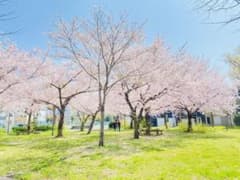 とも様専用のサムネイル