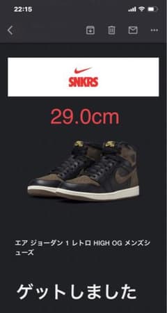 Nike Air Jordan 1ナイキエアジョーダン1Palominoパロミノのサムネイル