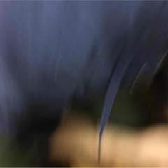 神様のサムネイル