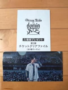 Stray Kids スキズ 映画 入場特典 チケットクリアファイル リノ - メルカリ