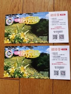 가수 유리노 엔 초대권 2장 세트