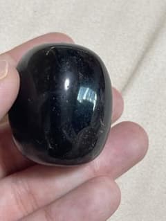 ブラックサードニクス