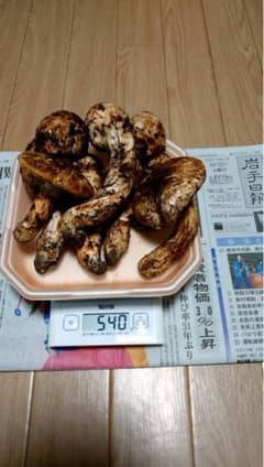 ＊10月22日採れ＊ 国産松茸　岩手県産540gのサムネイル
