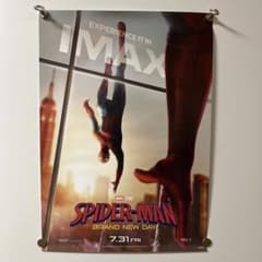 SPIDER-MAN BRAND NEW DAY IMAX 포스터