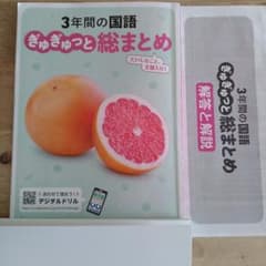 3年間の国語 ぎゅぎゅっと総まとめ 明治図書