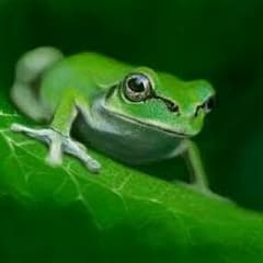 masaya様専用のサムネイル