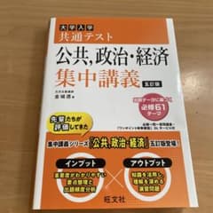 大学入試 共通テスト 公共、政治、経済 集中講義のサムネイル
