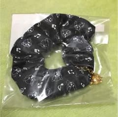 のだめカンタービレ   シュシュのサムネイル